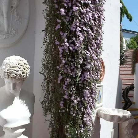 Szálloda Belsole 3*