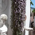 Hotel Belsole 3*